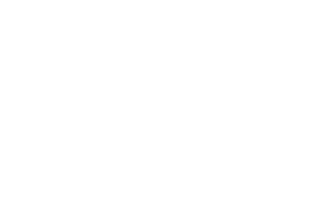 salt. — creative studio